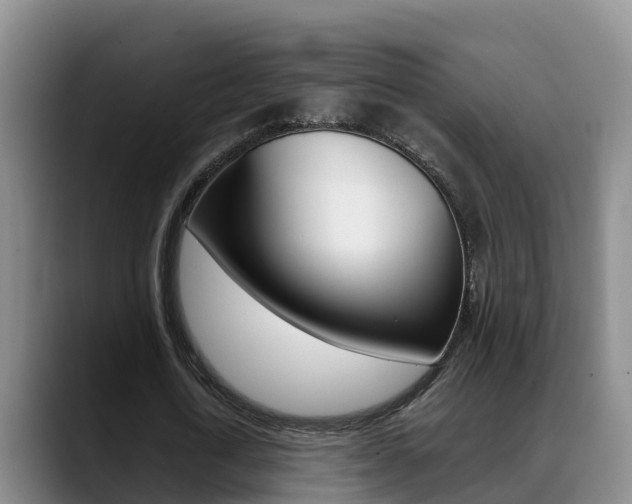X0000089430722200706151021