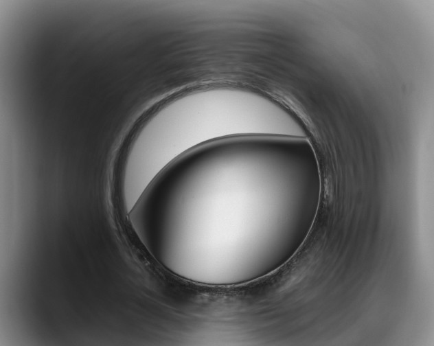 X0000089430724200706151021