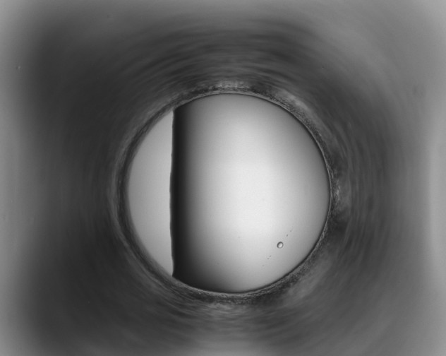 X0000089430725200706151021
