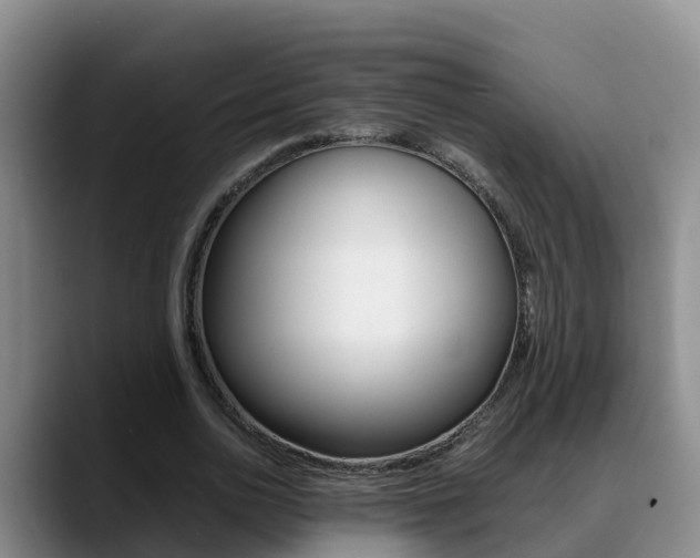 X0000089430726200706151021