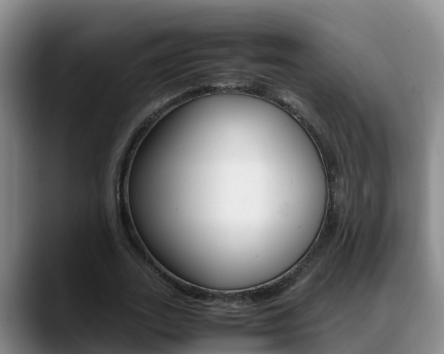 X0000089430727200706151021