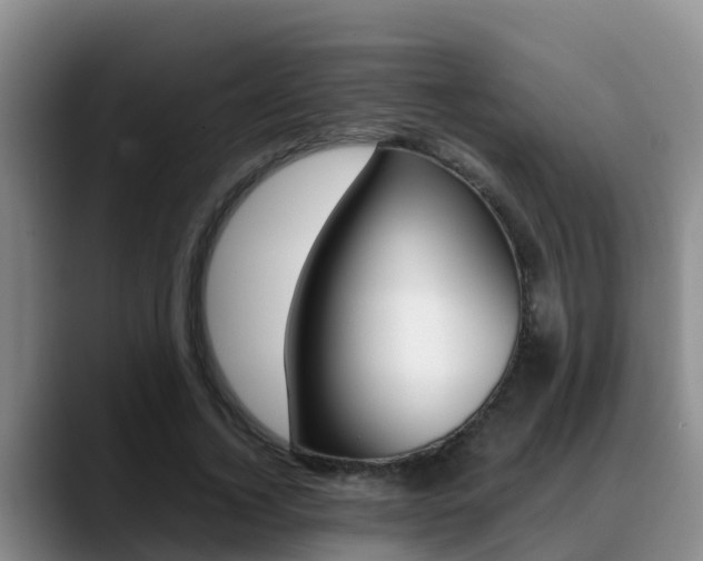 X0000089430732200706151021