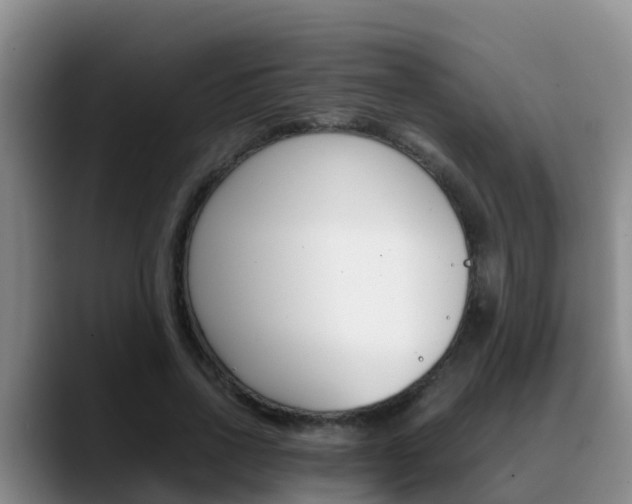 X0000089430734200706151021