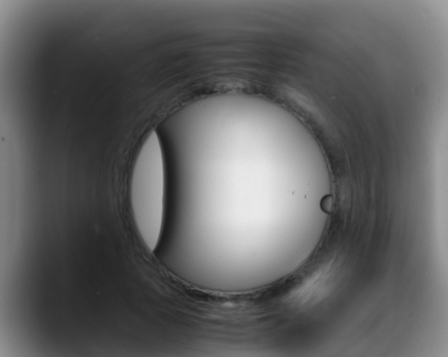 X0000089430737200706151021