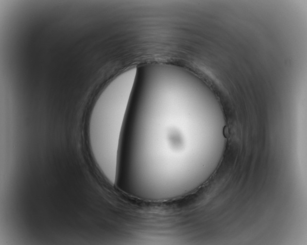X0000089430738200706151021