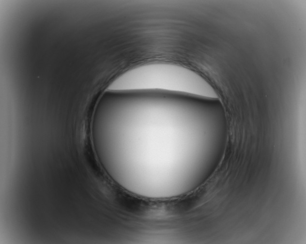 X0000089430740200706151021