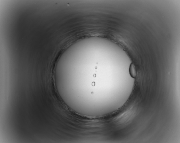 X0000089430741200706151021