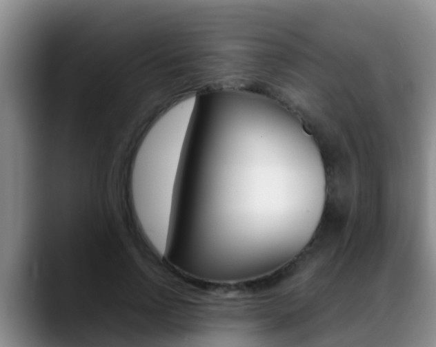 X0000089430742200706151021
