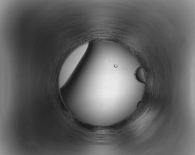 X0000089430746200706151021