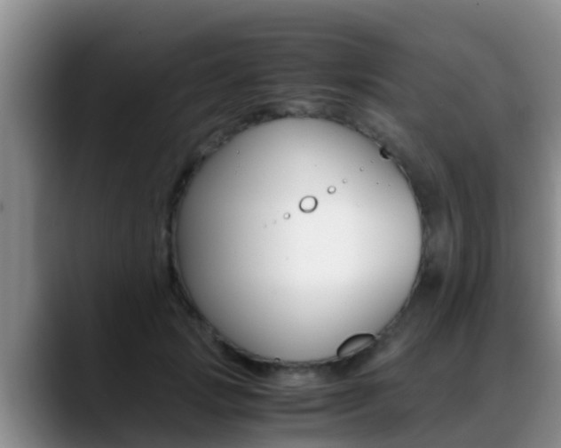 X0000089430749200706151021