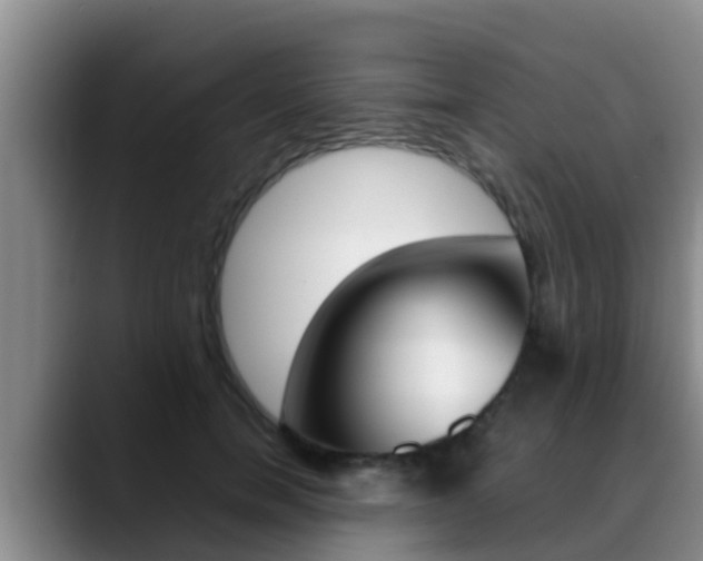 X0000089430750200706151021