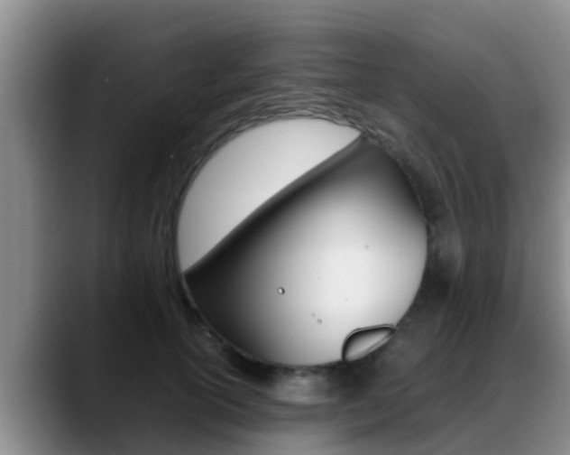 X0000089430754200706151021