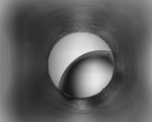 X0000089430756200706151021