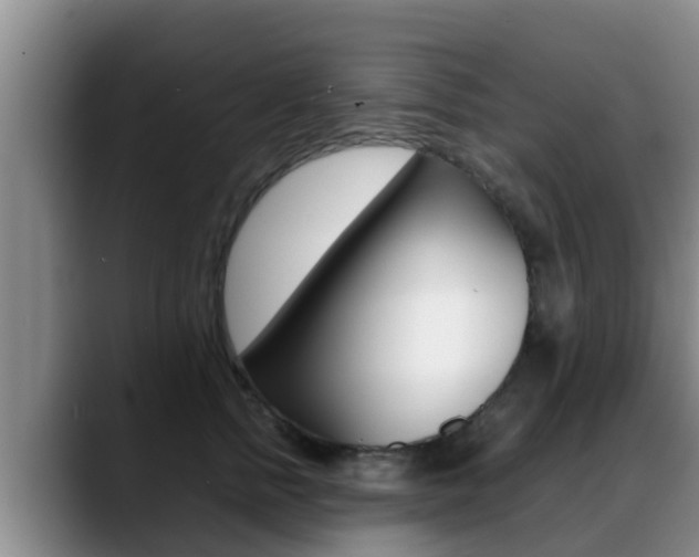 X0000089430758200706151021