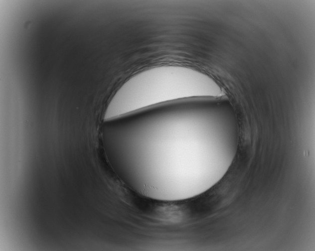 X0000089430759200706151021