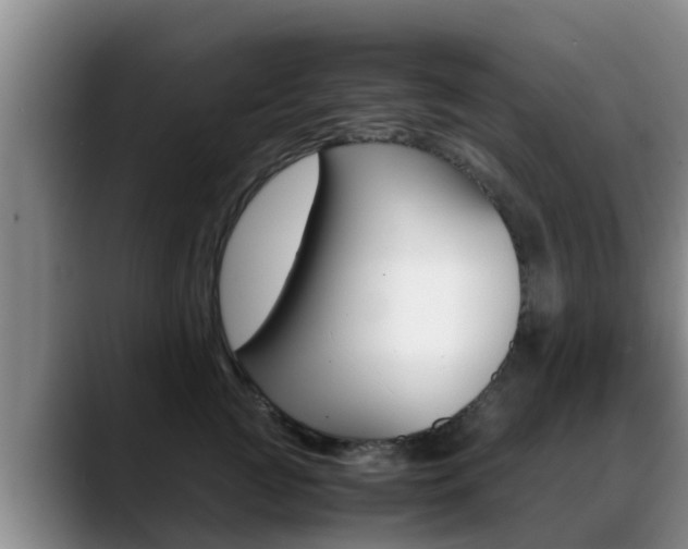 X0000089430761200706151021