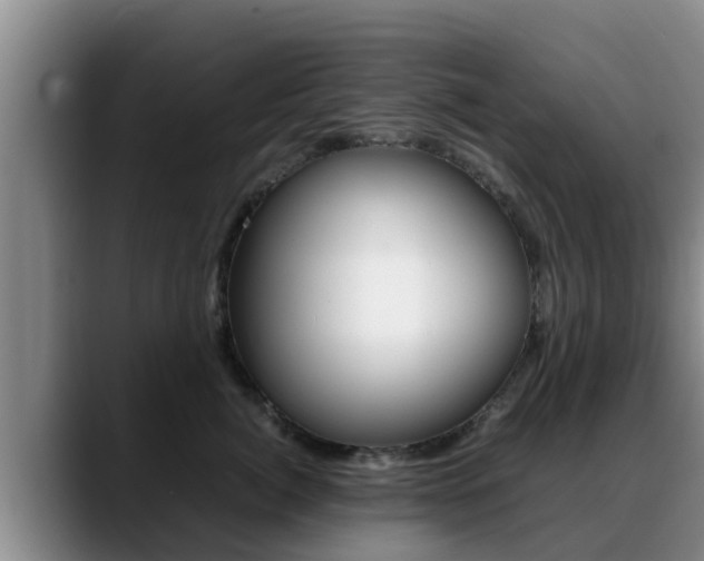 X0000089430764200706151021