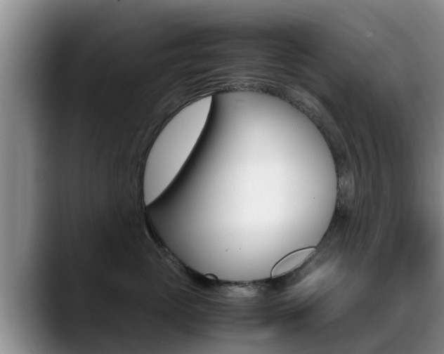 X0000089430765200706151021