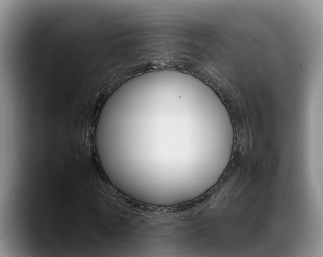 X0000089430770200706151021