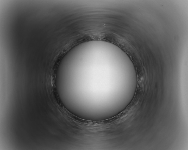 X0000089430772200706151021