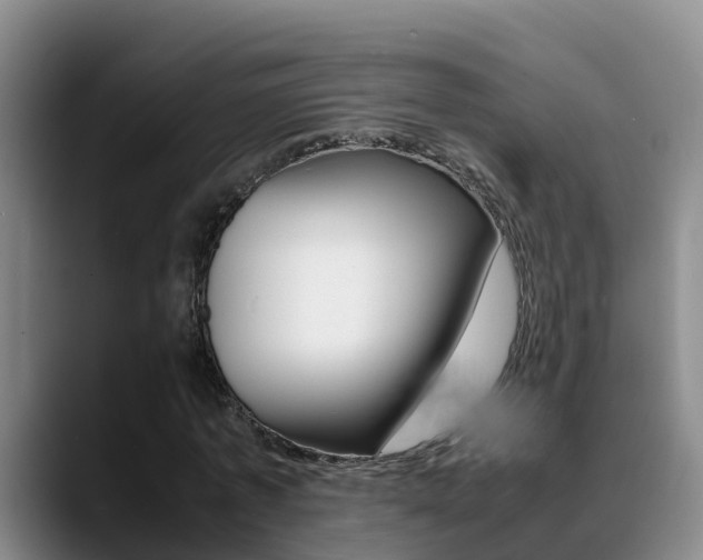 X0000089430773200706151021