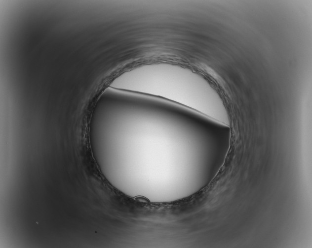 X0000089430775200706151021