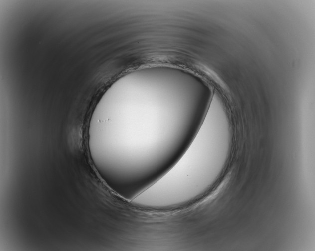 X0000089430777200706151021