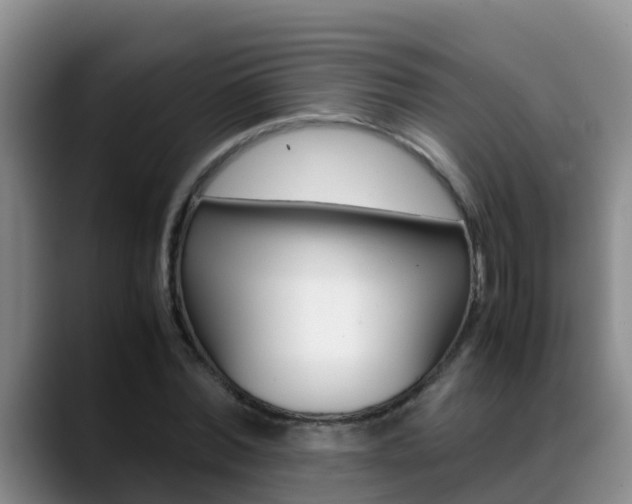 X0000089430780200706151021