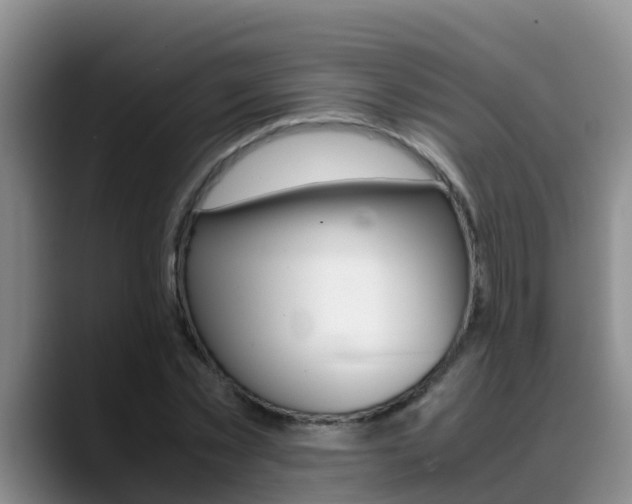 X0000089430781200706151021