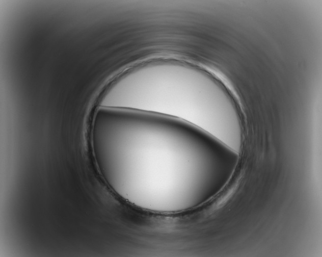 X0000089430783200706151021