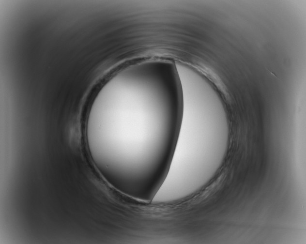 X0000089430784200706151021
