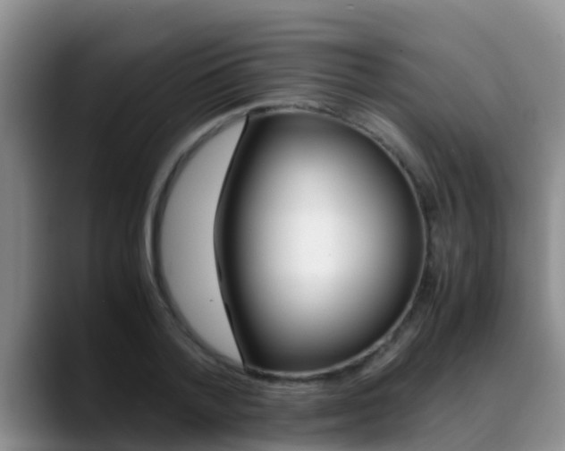 X0000089430788200706151021