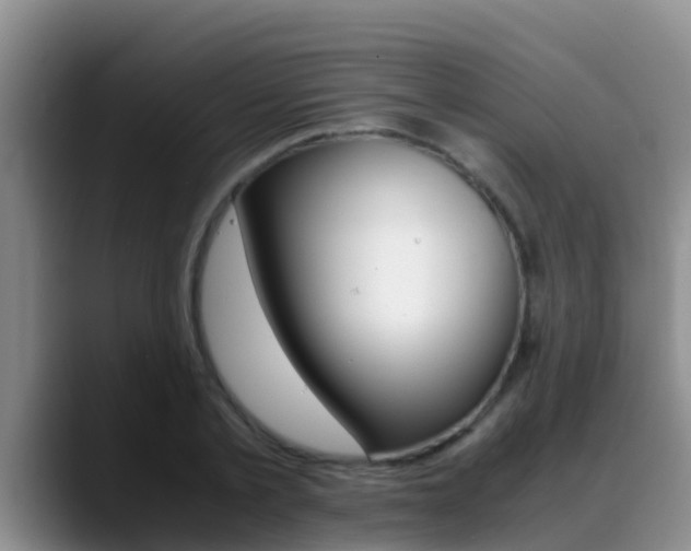 X0000089430789200706151021