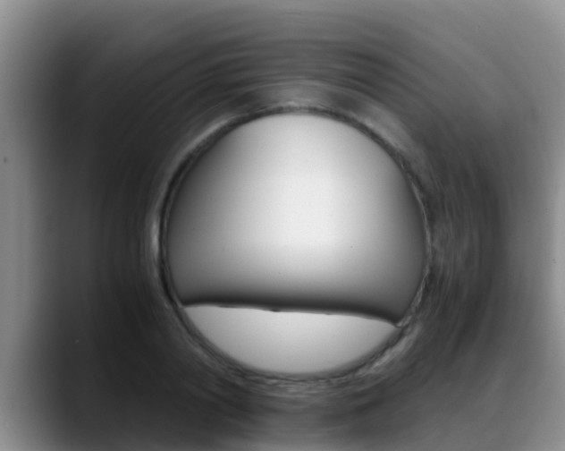 X0000089430790200706151021