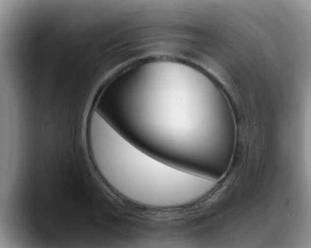 X0000089430791200706151021