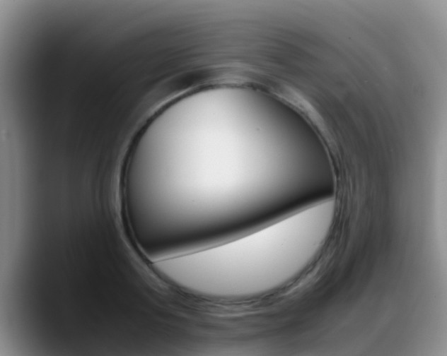 X0000089430795200706151021