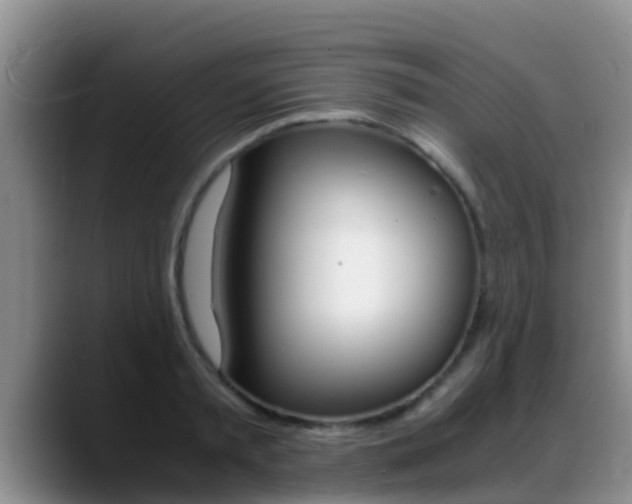 X0000089430797200706151021