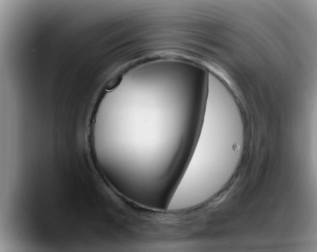 X0000089430799200706151020