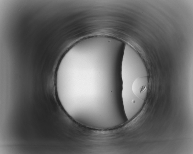 X0000089430800200706151020