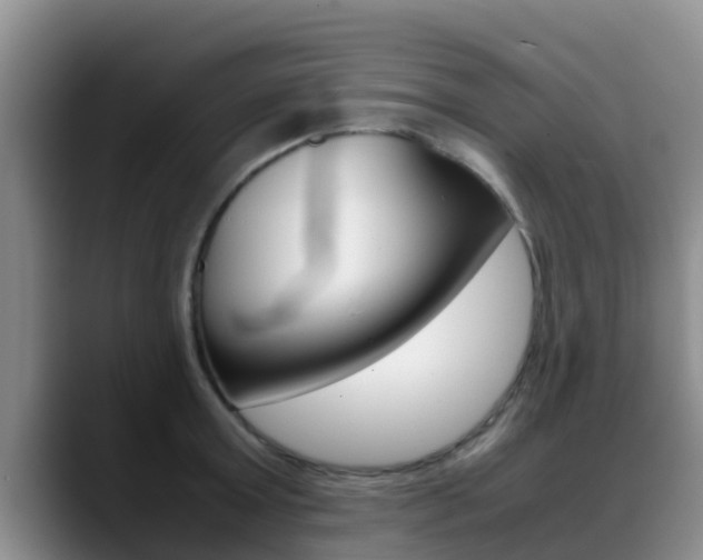 X0000089430803200706151020