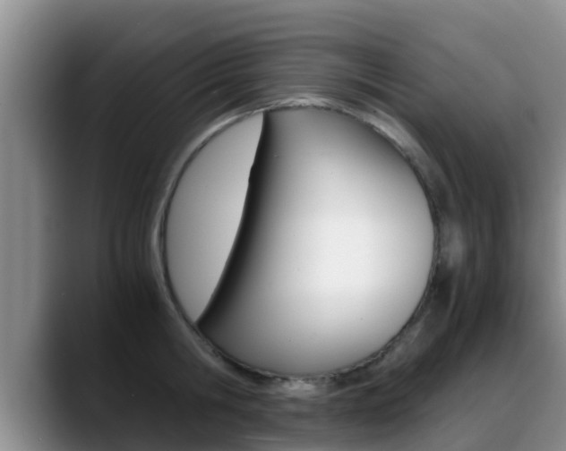 X0000089430806200706151020
