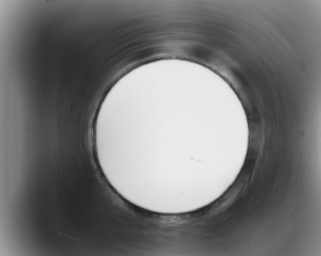 X0000089430807200706151020