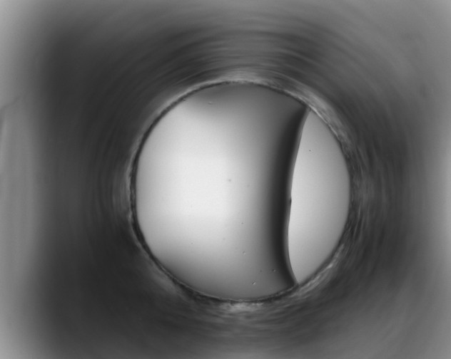 X0000089430808200706151020