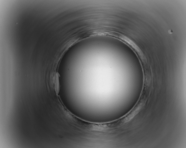 X0000089430809200706151020
