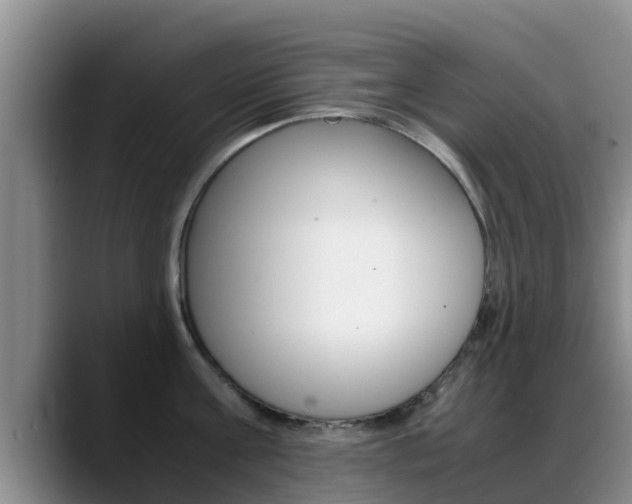 X0000089430811200706151020