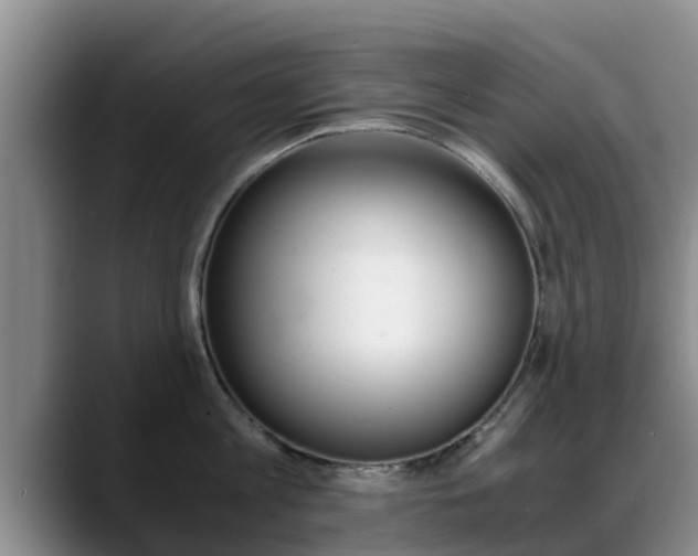X0000089430813200706151020