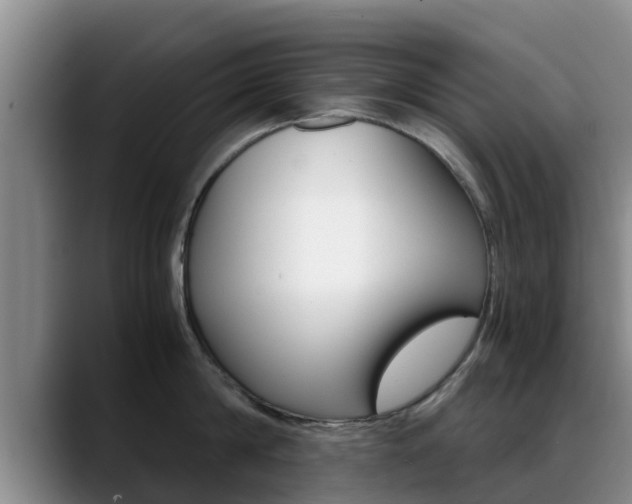 X0000089430814200706151020