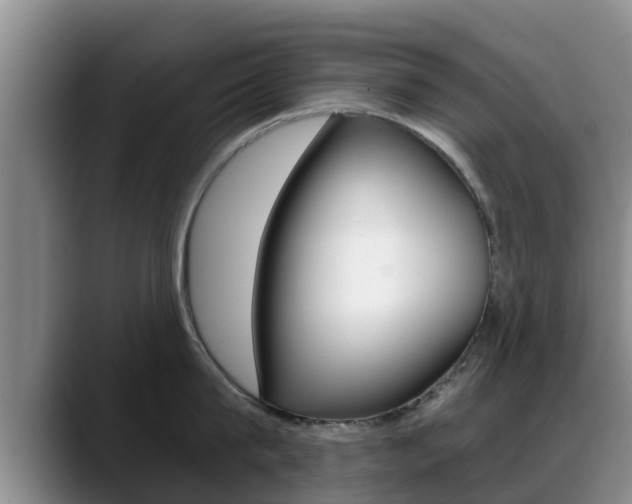 X0000089430815200706151020