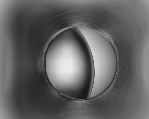 X0000089430816200706151020
