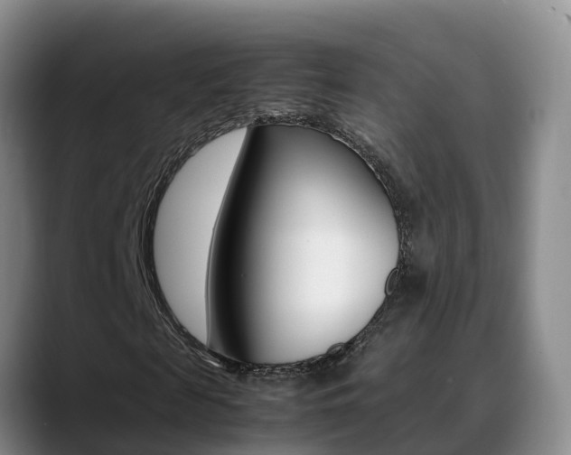 X0000089430817200706151020